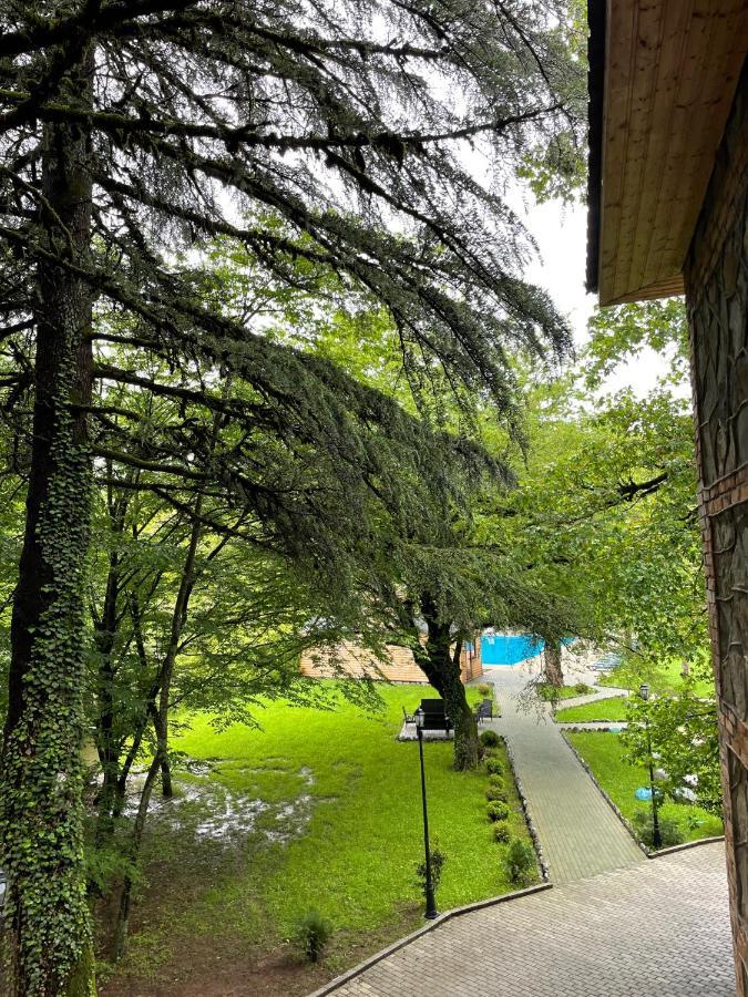 Wald Hotel Лагодехи Екстериор снимка