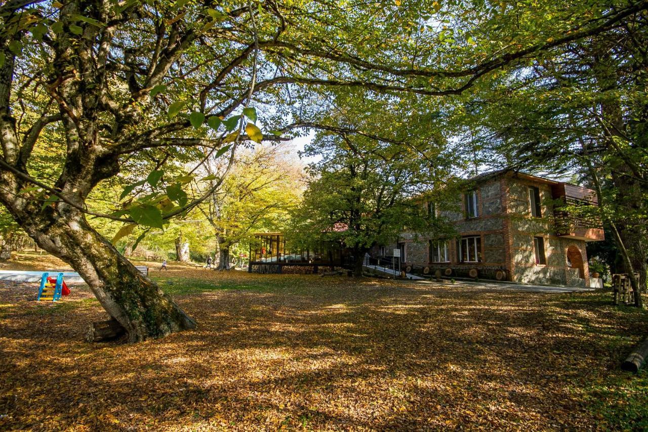 Wald Hotel Лагодехи Екстериор снимка