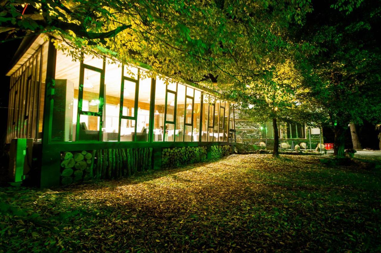 Wald Hotel Лагодехи Екстериор снимка